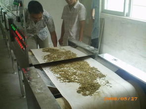 花生微波熟化滅菌設(shè)備 2017新型花生米膨化設(shè)備 專(zhuān)業(yè)廠家定做花生微波膨化熟化機(jī) 價(jià)格圖片,花生微波熟化滅菌設(shè)備 2017新型花生米膨化設(shè)備 專(zhuān)業(yè)廠家定做花生微波膨化熟化機(jī)